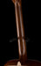 Martin Custom Shop D-28 Crimson Cocobolo with Sitka Spruce With Case