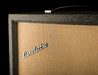 Vintage Danelectro DM 25 Guitar Amp Head With Matching Cabinet