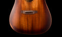 Martin D-15M StreetMaster Acoustic Guitar Mahogany Burst with Soft Gig Bag