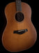 Taylor Builder's Edition 717 WHB Acoustic Guitar With Case