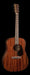 Martin D-15E Dreadnought Acoustic Guitar with Soft Shell Case