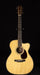 Martin Custom Shop OM Style 28 Wild Grain East Indian Rosewood Acoustic Guitar