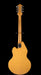 Vintage Stratosphere Single Neck Owned by Ry Cooder