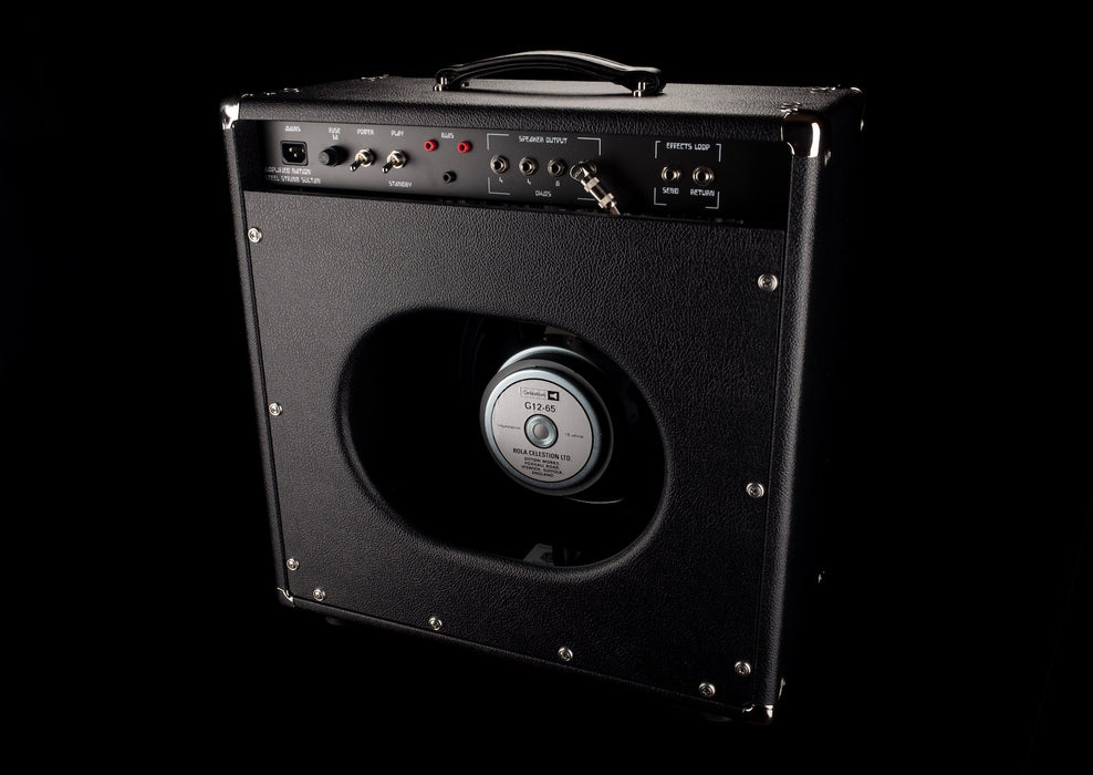 Amplified Nation Steel String Sultan 22W 1x12 Combo Amp Black Tolex Black Grill Celestion G12-65 Speaker