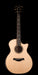 Taylor 914ce Acoustic Electric Guitar With Case