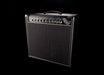 Amplified Nation Steel String Sultan 22W 1x12 Combo Amp Black Tolex Black Grill Celestion G12-65 Speaker