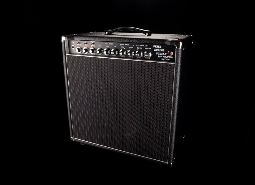 Amplified Nation Steel String Sultan 22W 1x12 Combo Amp Black Tolex Black Grill Celestion G12-65 Speaker