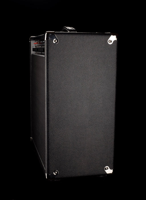 Amplified Nation Steel String Sultan 22W 1x12 Combo Amp Black Tolex Black Grill Celestion G12-65 Speaker