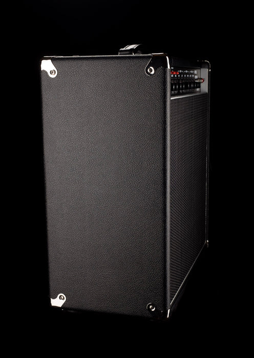 Amplified Nation Steel String Sultan 22W 1x12 Combo Amp Black Tolex Black Grill Celestion G12-65 Speaker