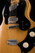 Vintage Stratosphere Single Neck Owned by Ry Cooder